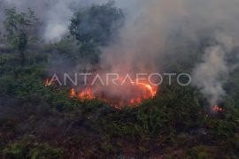 BPBA: Aceh tidak masuk dalam provinsi berisiko tinggi karhutla