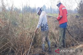 Kemenhut lakukan pembasahan gambut terbakar di Banjarbaru