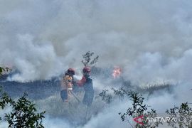 Menjaga langit tetap biru di tengah kepungan kebakaran hutan dan lahan