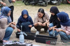 Tim pengabdian Pertanian UNJA kenalkan 'Wall Gardening'