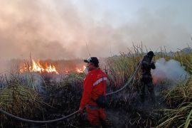 Bupati Lampung Timur pastikan penanganan karhutla di TNWK berjalan cepat