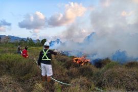 Bantu tangani karhutla di Belitung, Sinar Mas Agribusiness and Food kerahkan armada pemadam