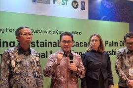 Kemendag siapkan proyek percontohan untuk model pemenuhan EUDR