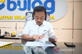 Bulog sebut persediaan beras di Tanah Papua capai 38.811 ton