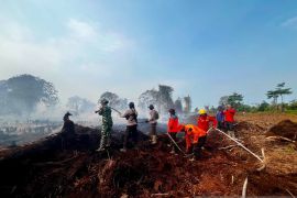 Jambi intensify joint patrols to prevent forest and land fires