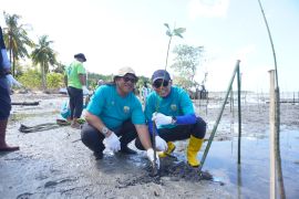 PLN Perkuat Ekonomi dan Ekosistem Pesisir melalui Program Desa Berdaya Tanjung Seloka