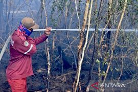 Kemenhut kerahkan 1.000 Polhut perkuat penanganan karhutla Kalimantan