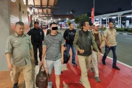 Kemenhut ungkap jejak jaringan perdagangan satwa liar dari kasus 3 ton sisik trenggiling