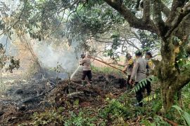 Lahan gambut seluas 13,5 hektare di Singkawang terbakar