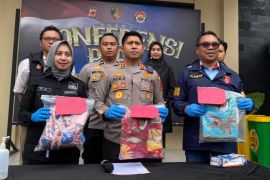 Polres Tasikmalaya menciduk pemuda pelaku asusila 2 gadis di bawah umur