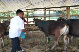 Distan Mataram perketat pengawasan kesehatan hewan ternak