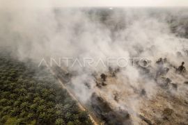 Asap karhutla berisiko bagi janin