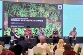 WWF nilai pasar domestik RI strategis bagi sawit berkelanjutan
