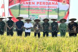 Ketahanan pangan jadi aspek utama penilaian Kampung Pancasila