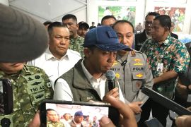 Menhut sebut karhutla di Riau terus mengecil dan teratasi
