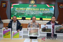 Polda Riau dan jajaran tetapkan 40 tersangka dari 37 perkara karhutla
