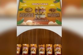 Camilan Perut Punai asal Bengkulu dapat kontrak ekspor 500 kemasan senilai 1.500 dolar AS
