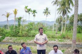 Pemkab Solok alokasikan Rp54,78 miliar untuk pulihkan pertanian