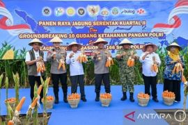 Sumut targetkan lahan pangan berbasis irigasi sampai 41.000 hektare