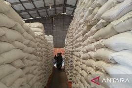 Bulog Sorong datangkan 3.000 ton beras dari Pulau Jawa