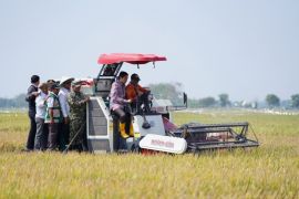 Pemkab Indramayu mengandalkan teknologi pertanian saat musim kemarau