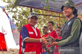 PMI Papua Barat tanam 250 bibit pohon jaga ekosistem pantai wisata Amban