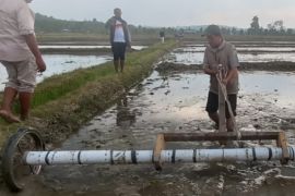 BBRMP Maluku targetkan 148 hektare di Way Asih terapkan PM-AAS