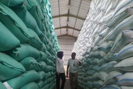 Serapan beras Bulog Tulungagung capai 63.900 ton hingga Agustus