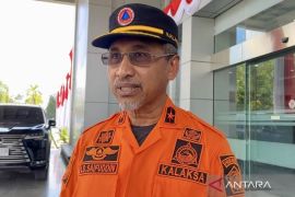 BPBD catat 2.376 hektare lahan di Sultra terbakar selama Januari hingga Juli 2026