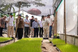 Menteri PPN tegaskan pentingnya inovasi terapan untuk ketahanan pangan