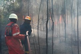 Pemkab Bintan prioritaskan pencegahan karhutla