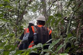 Dari Patroli ke Perlindungan Batang Toru