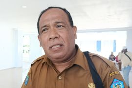 Pemkab catat luas sawah reguler rakyat di Jayawijaya capai 360 hektare