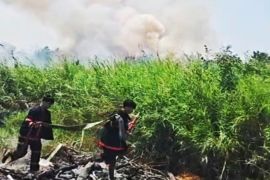 Petugas berjibaku padamkan karhutla di lahan kering Sungai Andai Banjarmasin