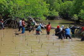 Kementerian Kehutanan libatkan masyarakat rehabilitasi 1.276 hektare mangrove di Kutai Kartanegara