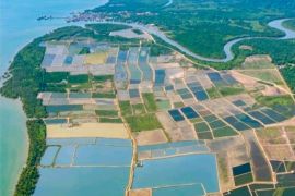 Permkab Kutim tingkatkan produksi ikan lewat revitalisasi tambak