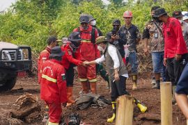 Indonesia's wildfire response covers healthcare, social support: gov't