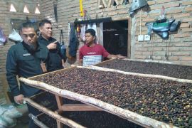 Kopi Parak dan Koordinat Yang Hilang