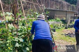 Lapas Narkotika Samarinda libatkan WBP dalam program agribisnis