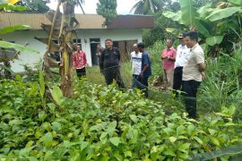 Unand Kembangkan Kopi Parak di Nagari Panti Selatan