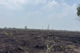 Karhutla di Pematang Pudu, Polres Bengkalis tersangkakan pemilik lahan