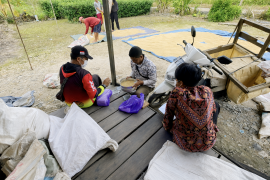 Bulog serap 24.853 ton gabah petani di Kalimantan Tengah