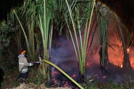 BPBD Aceh Besar rangkul perangkat gampong cegah Karhutla