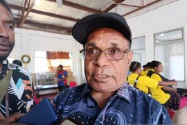 Pemprov Papua Pegunungan anggarkan dana Otsus Rp4 miliar bantu pelaku ekraf