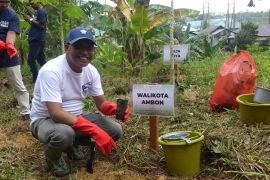 Pemkot Ambon tanam seribu pohon di kawasan DAS Air Besar cegah bencana