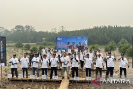 Angkasa Pura tanam 14.000 pohon mangrove di Kubu Raya Kalbar