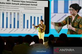 Stella: Riset dan investasi jadi kunci perluasan layanan kesehatan