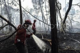 Pemadaman karhutla di Hutan Lindung Gambut Londerang