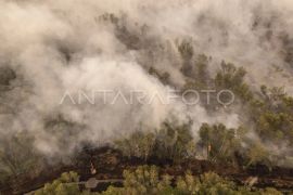 Police name nine corporate suspects in ongoing forest fire probes