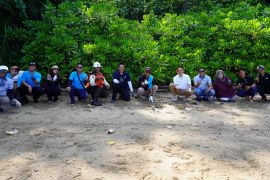 PT Vale gandeng Unhas dan relawan rehabiltasi pesisir Luwu Timur
